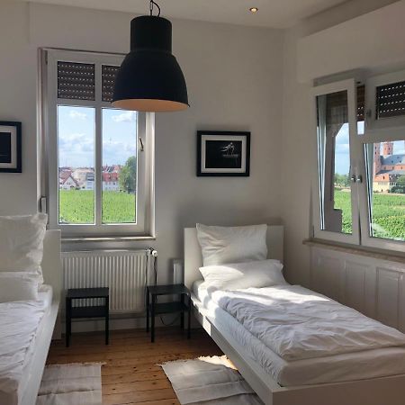 Luxe Apartment Am Rhein Вормс Екстериор снимка